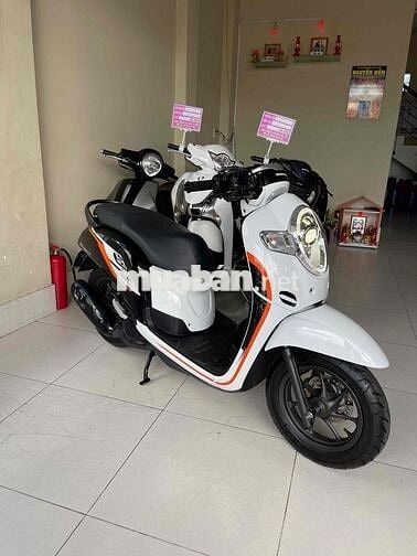 scoopy 2020 . hàng bỏ mẫu. zin cọp. hàng hiếm