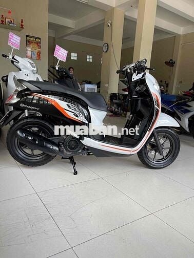 scoopy 2020 . hàng bỏ mẫu. zin cọp. hàng hiếm