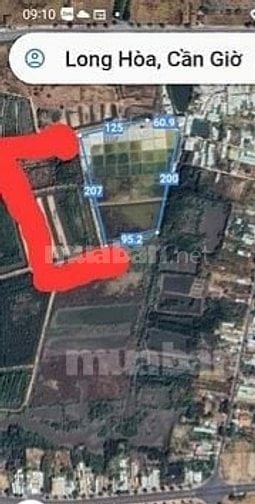 Bán đất Cần Giờ , dt lớn 6ha, xã Long Hòa 