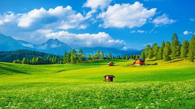 Bán đất 20,000m2 đất Nguyễn Văn Tạo , nhà bè giá rẻ 