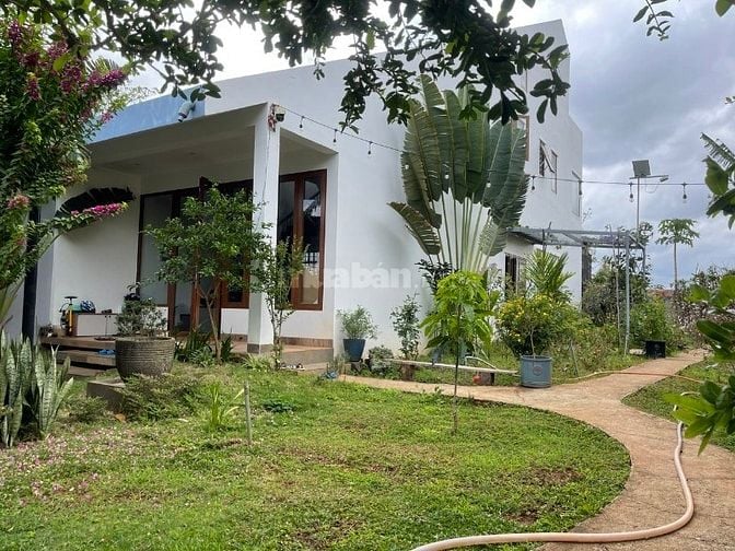 Nhà đẹp chính chủ Tp Buôn Ma Thuột