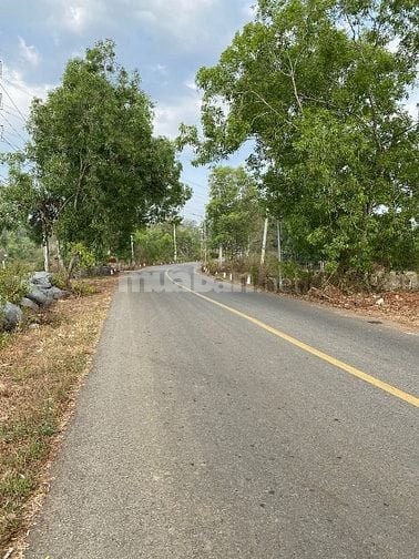 BÁN ĐẤT NN( CLN) MẶT TIỀN ĐƯỜNG QUÃNG PHÚ, PHƯỚC AN,BCHÂU ĐỨC,BRVT