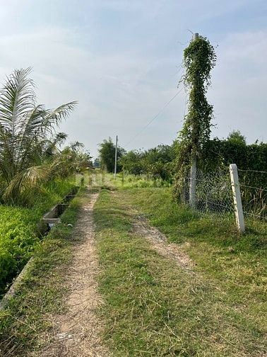 chính chủ kẹt tiền cần bán gấp