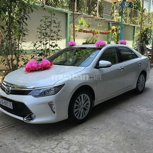 nhiều mẫu xe hoa mùa cưới 2025