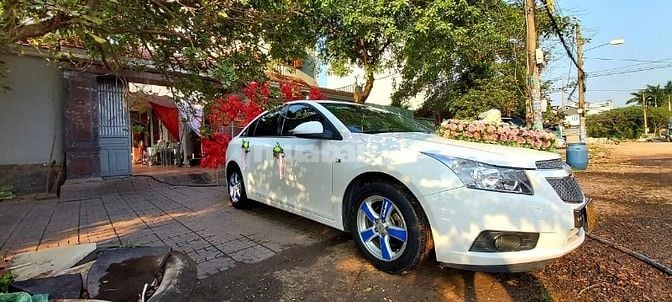 nhiều mẫu xe hoa mùa cưới 2025
