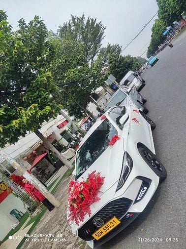 nhiều mẫu xe hoa mùa cưới 2025
