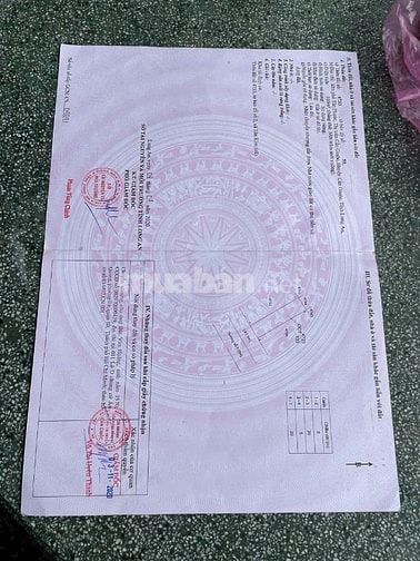 Nhà đường đôi 20m, khu Hai Thành, 5x20m, gác, sổ hồng 