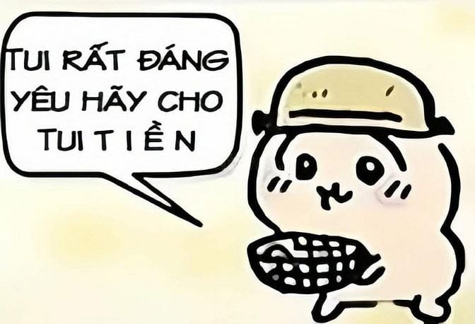 Cần nhân lực bán sản phẩm triết xuất từ trái Nhàu tại khu vực TP HCM