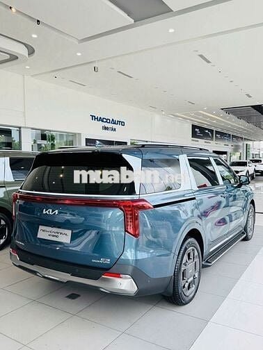 Kia Carnival 2025 Signature 1.6 Turbo HEV 7S