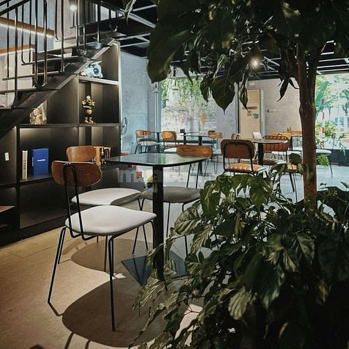 Sang nhượng MB Kinh Doanh COFFEE  340m2 - Mặt tiền 20m (Thanh Xuân)