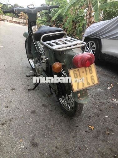 xe cub 50