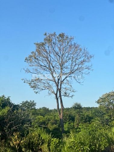 Chính chủ cần bán tam Giang đất trống 