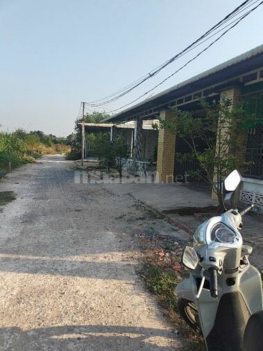169m2 có thổ cư. Đất Trảng Bàng ngay KCN Phước Đông. 5xx tr 
