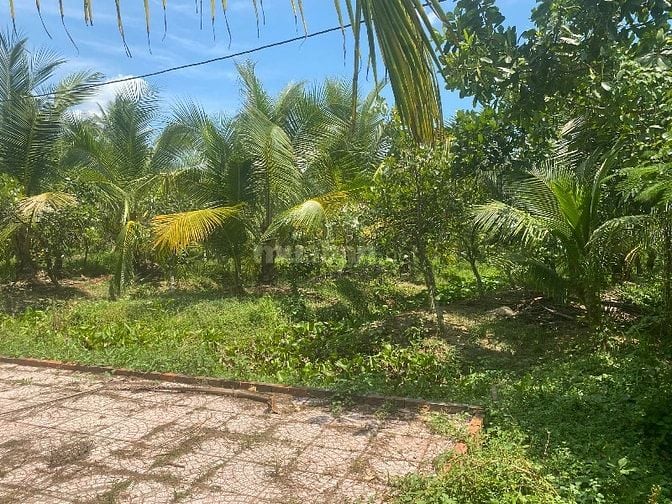 bán đất xã tân an thạnh,đất thích hợp cho nghĩ dưỡng