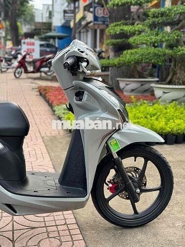 vision bản thể thao xám xi măng chính chủ phố