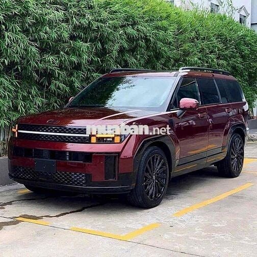 Hyundai Santa Fe 2024 Calligraphy 2.5 (6 chỗ)