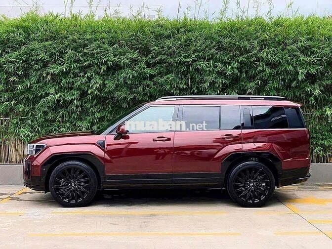 Hyundai Santa Fe 2024 Calligraphy 2.5 (6 chỗ)