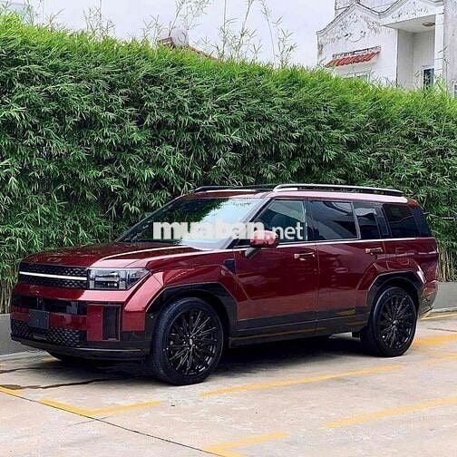 Hyundai Santa Fe 2024 Calligraphy 2.5 (6 chỗ)