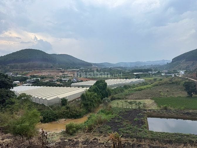 Bán Gấp 257m2 đất Thổ Cư Ven Đà Lạt, Giá Chỉ 370 Triệu