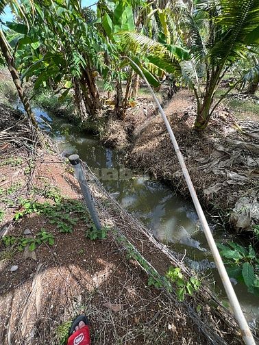 Cần bán 10.000m vuông đất (1 mẫu) đã Tạo View nghĩa dưỡng sẳn