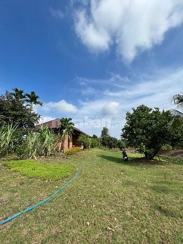 Cần bán 10.000m vuông đất (1 mẫu) đã Tạo View nghĩa dưỡng sẳn