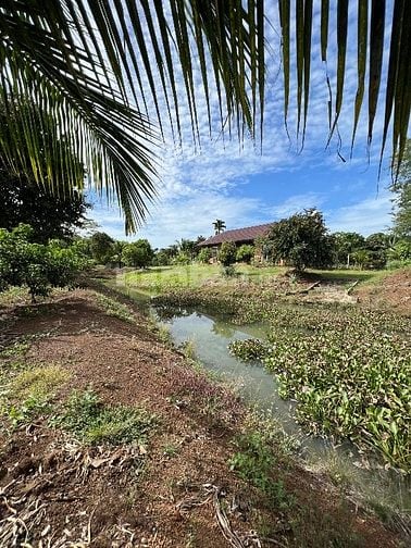 Cần bán 10.000m vuông đất (1 mẫu) đã Tạo View nghĩa dưỡng sẳn