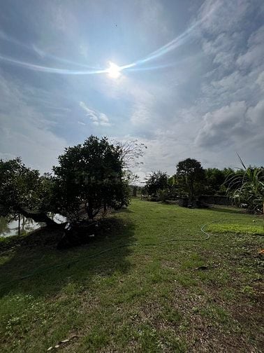Cần bán 10.000m vuông đất (1 mẫu) đã Tạo View nghĩa dưỡng sẳn