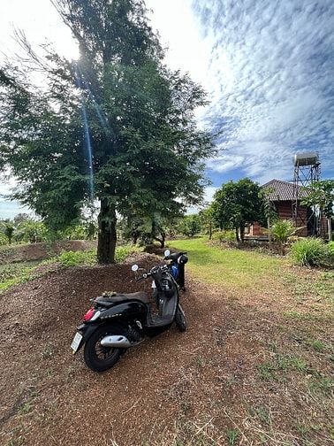 Cần bán 10.000m vuông đất (1 mẫu) đã Tạo View nghĩa dưỡng sẳn
