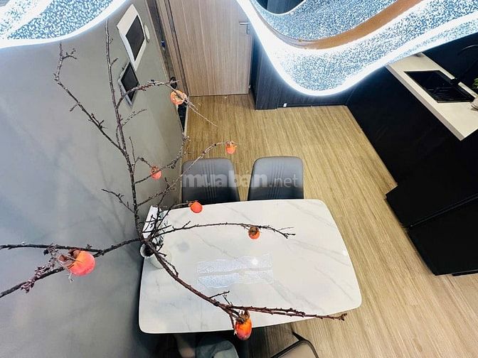 Chung cư cao cấp, mới chưa sử dụng, 