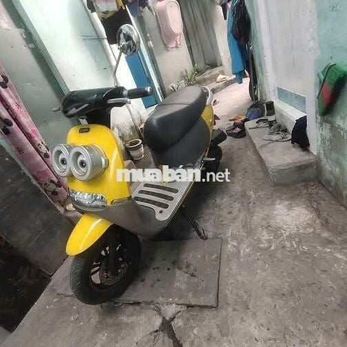Xe minion 60cc
