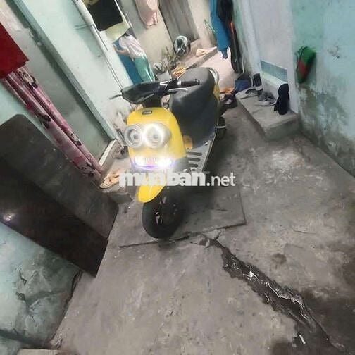 Xe minion 60cc