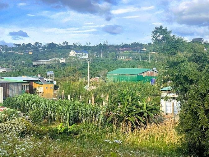 Ngộp, bán lô đất cách nhựa 50m, sát bên UBND xã Nam Hà giá chỉ 1.8 tỷ,