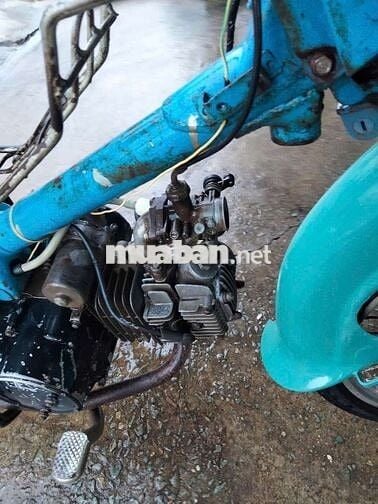 Honda Cub