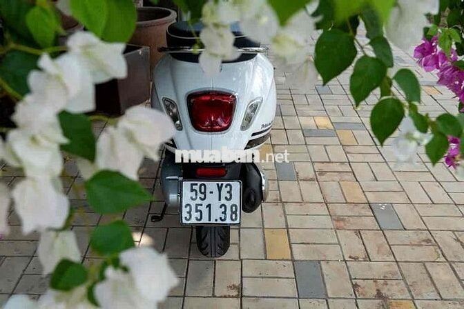 Vespa Primavera Yacth Club