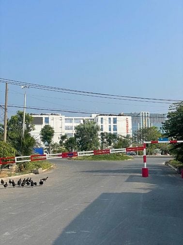 Chính chủ cần bán gấp lô đất nhà phố 6x18 nên A2 gần Tạ Quang Bửu giá 