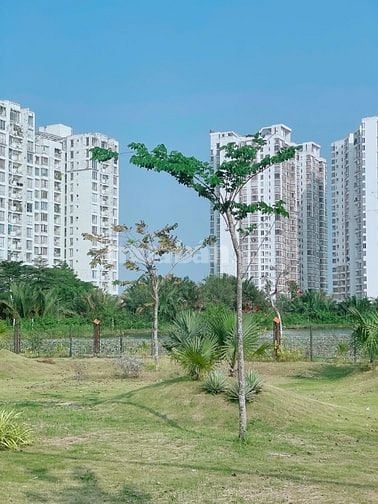 Chính chủ cần bán gấp lô đất nhà phố 6x18 nên A2 gần Tạ Quang Bửu giá 