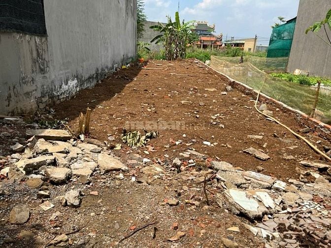 Chính chủ cần bán gấp 1 lô đất trồng cây lâu năm, tổng diện tích 141m2