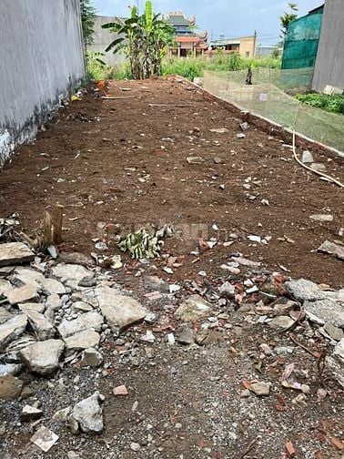 Chính chủ cần bán gấp 1 lô đất trồng cây lâu năm, tổng diện tích 141m2