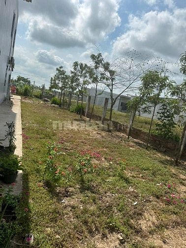 BÁN ĐẤT MẶT TIỀN 910 - BÌNH MINH - VĨNH LONG - 7,2x39(280m2) - GIÁ 2.6