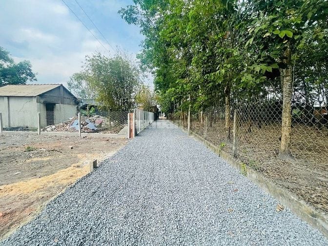 Em bán đất giúp bà cô. Giá chốt chính xác 800tr/126,3m2, SHR, bao công