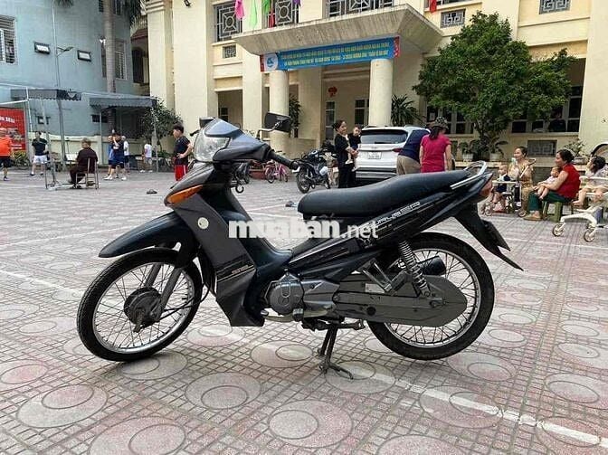 Taure nguyên bản giấy tờ đầy đủ