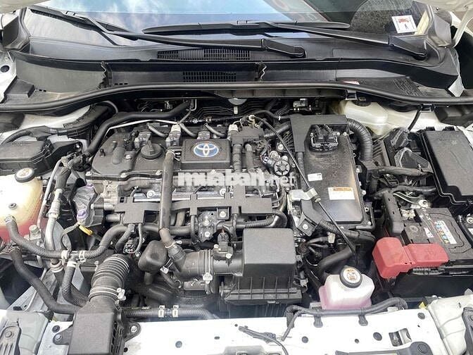 Toyota Corolla Cross 2021 xăng điện, xe gia đình