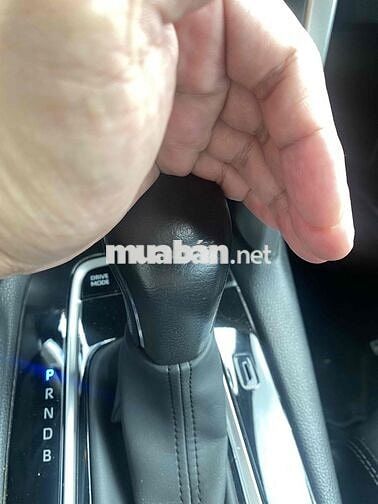 Toyota Corolla Cross 2021 xăng điện, xe gia đình