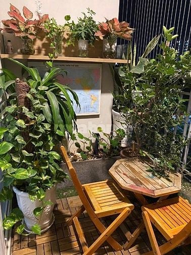 CHung cư Khang Phú, Hòa Thạnh, Tân Phú: 80m2,2p ngủ, NT, giá 10tr
