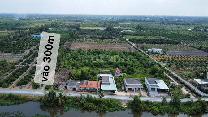 SIÊU PHẨM ĐẤT VƯỜN HÀNG FO ĐẦU TƯ