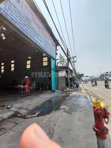 Cho thuê mặt bằng làm nhà xưởng,kho