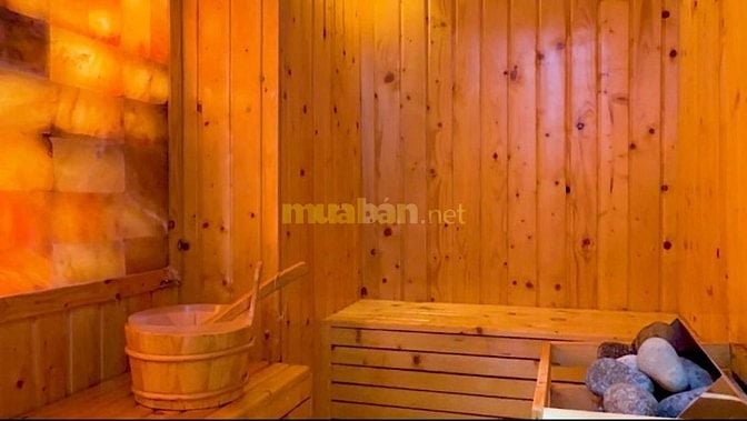 Cho thuê BT thiết kế hiện đại view sông 5PN, hồ bơi, có thang máy, 420