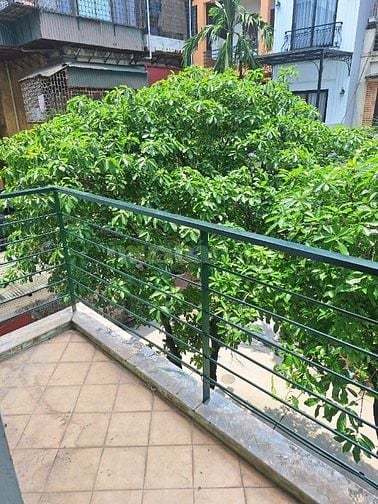 Cho thuê nhà vườn dốc Phụ Sản, Đê La Thành quận Ba Đình Hà Nội 