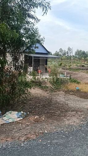 Bán đất chính chủ xã Tân Bình tân thạnh Long An 