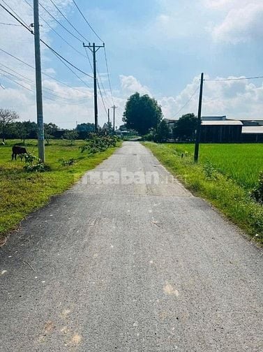400M2/680TRIỆU MẶT TIỀN ĐƯỜNG 12M NHỰA-SỔ SẴN CÔNG CHỨNG TRONG NGÀY